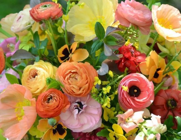 Букет "лютики"