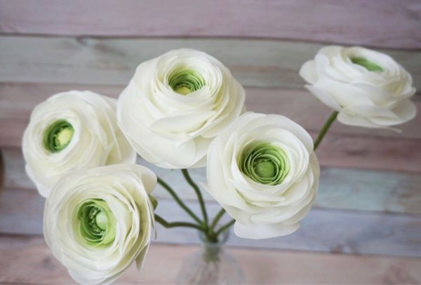 Цветы лютики-ранункулюсы