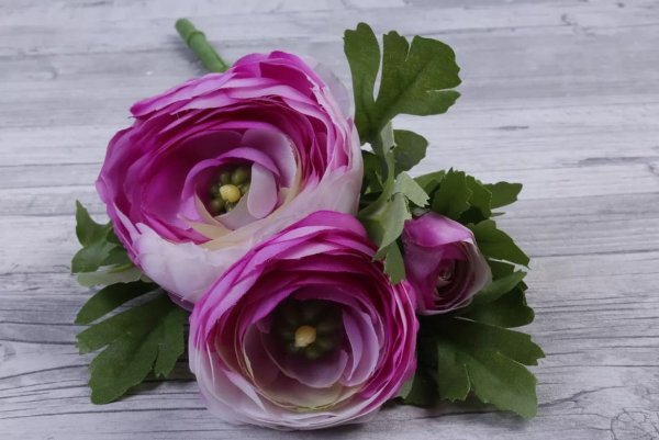 Ранункулюс Пикоти розовый