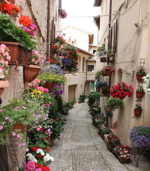 Цветочные улицы Спелло, Умбрия, Италия