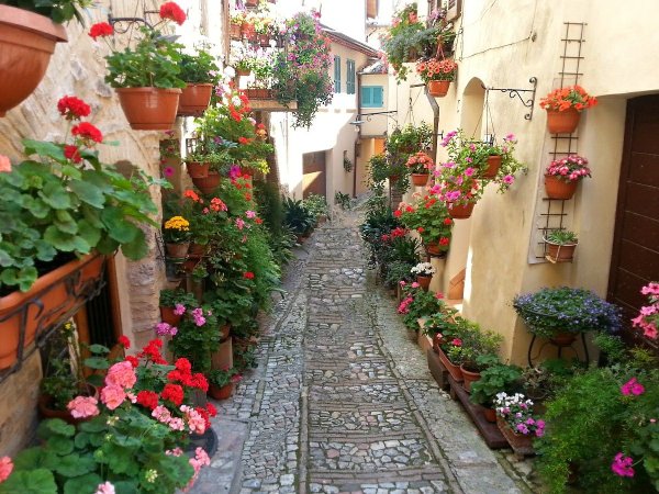 Италия улочки цветы