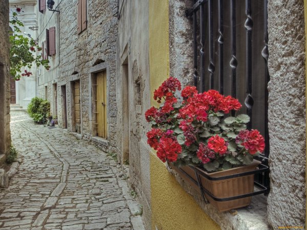 Италия сирень в Сирмионе