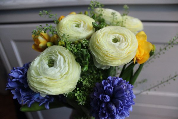 Лютик азиатский Пинк