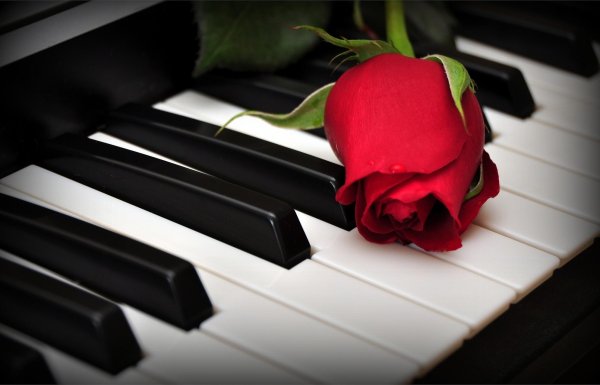 Рояль с цветами