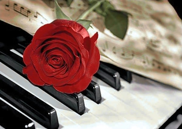 Клавиши и цветы