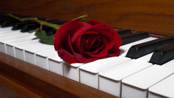 Рояль цветы