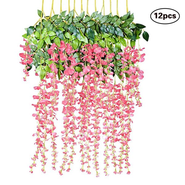 Глициния ампельная