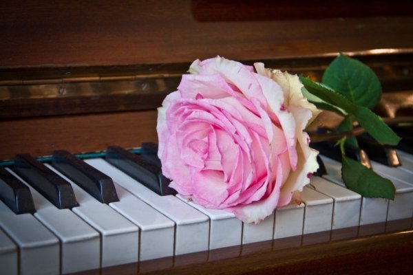 Пианино с цветами