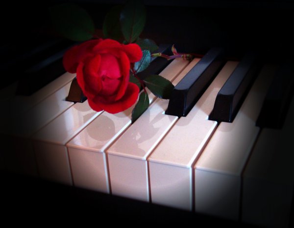 Фортепьяно и цветы