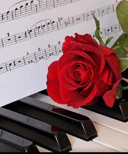 Цветы на клавишах