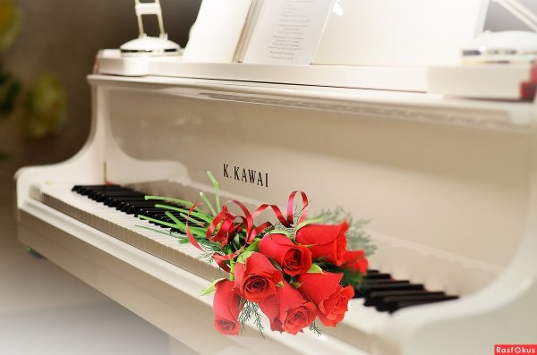 Цветы из нот