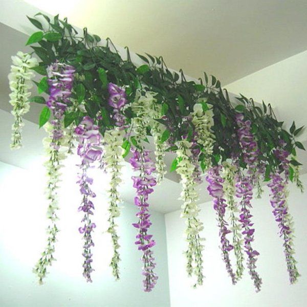 Глициния ампельная