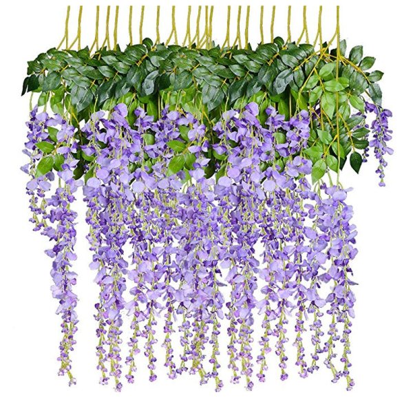 Цветочная лоза Глициния