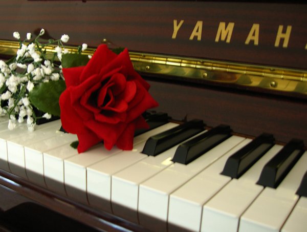 Роза на пианино