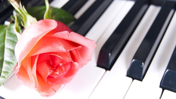 Цветы на пианино