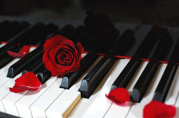 Рояль и роза живопись