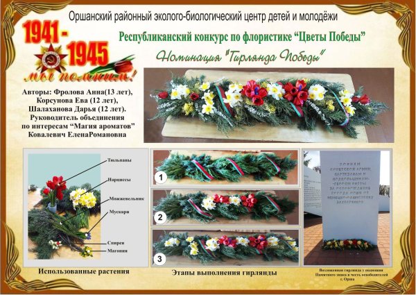 Гвоздика день Победы