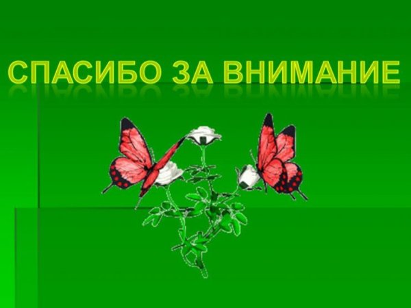 Спасибо за внимание