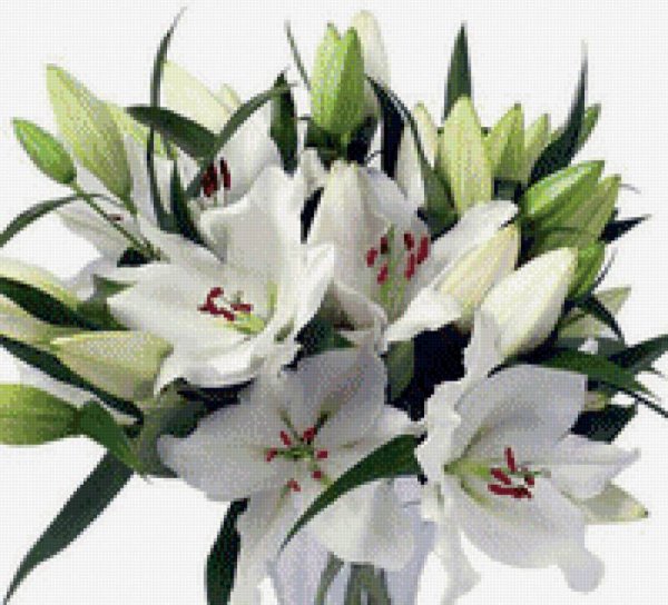 Лилии для любимой