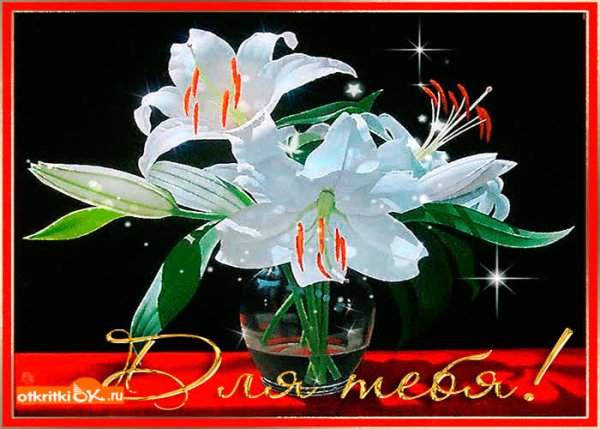 Илии цветы с днем рождения