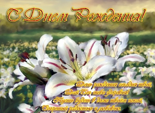 Шикарный букет синих лилий