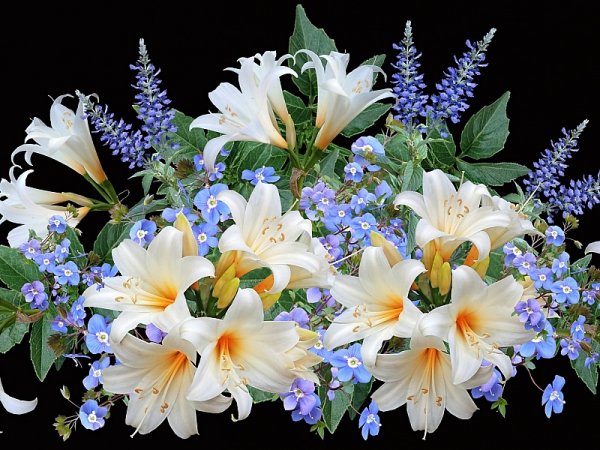 С днем рождения белые лилии