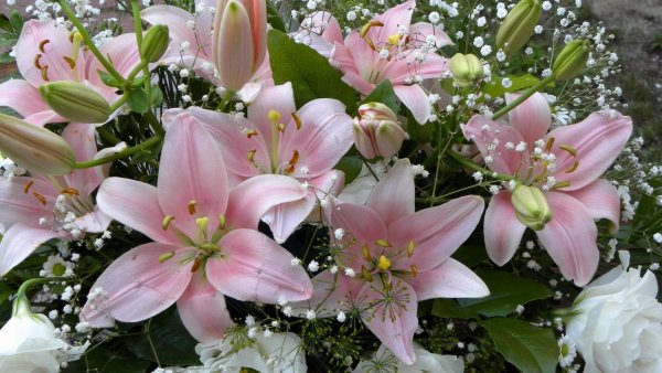 Snowboard Лилия букет