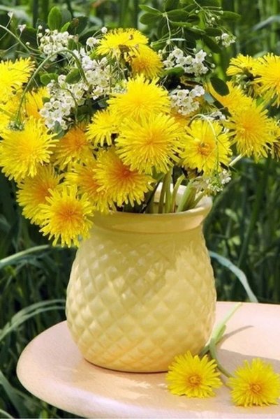 С добрым утром одуванчики