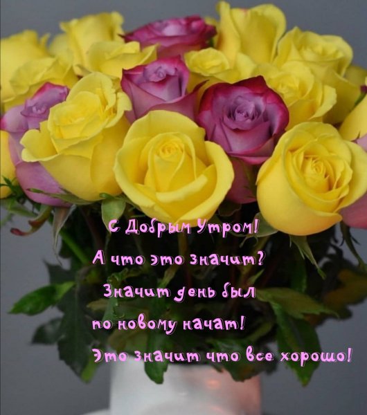 С добрым утром Олеся