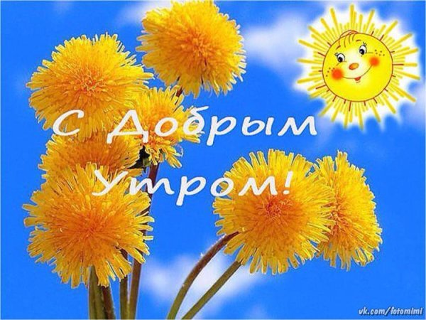 Открытки доброе утро с одуванчиками