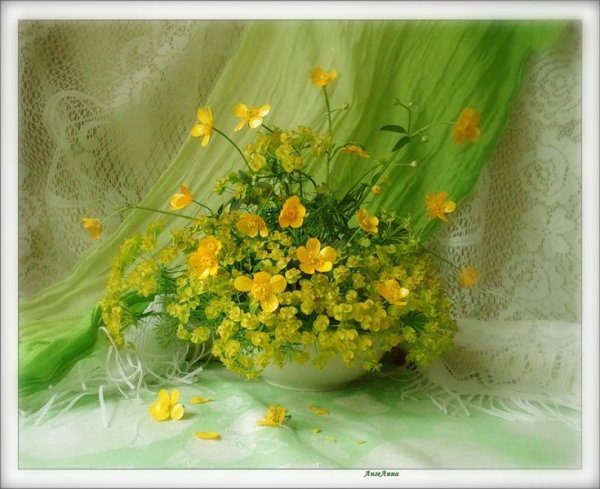 Желтые полевые цветы доброе утро