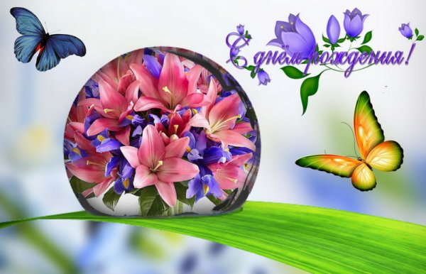 Поздравительные открытки с бабочками