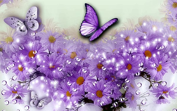 Открытка "бабочки"