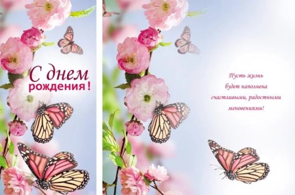 Красивый фон с бабочками