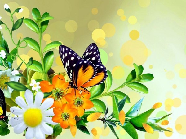 Красивый фон с бабочками