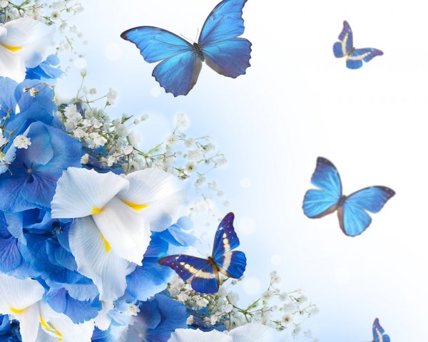 Мерцающие бабочки на цветах