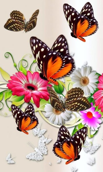 С днём рождения бабочки