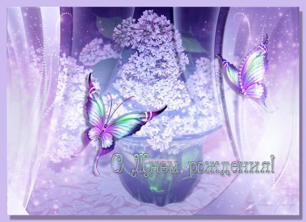 Сердце из бабочек