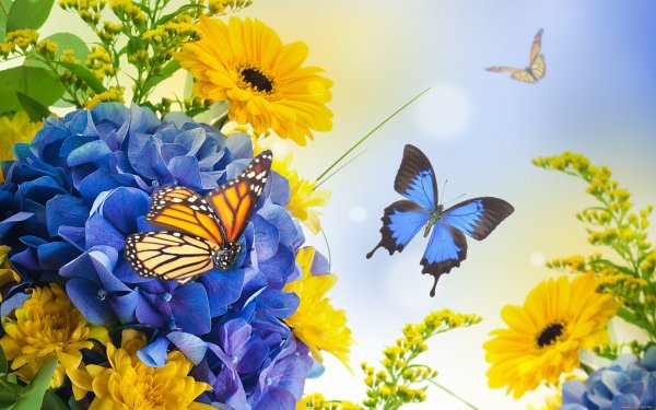 Яркие цветы и бабочки