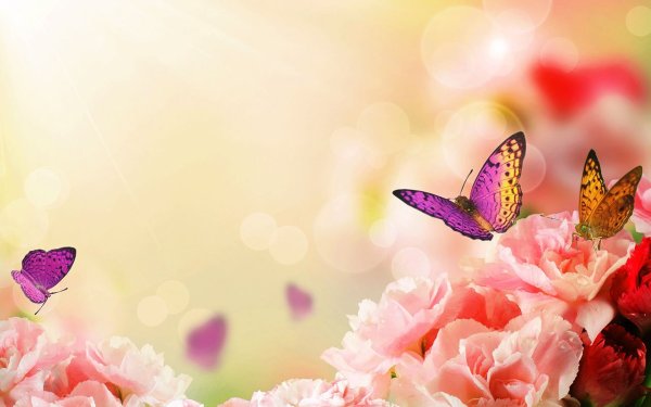 Цветочки гиф