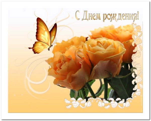 Бабочка на цветке