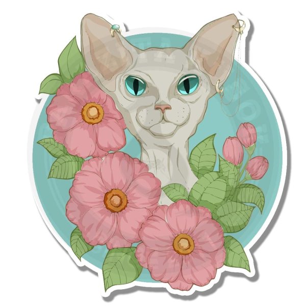 Стикеры лысый кот