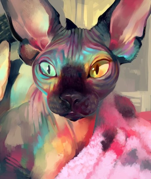 Сфинкс кошка Art
