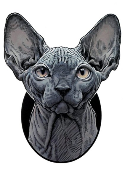 Сфинкс голова кошка