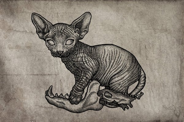 Тату сфинкс эскиз