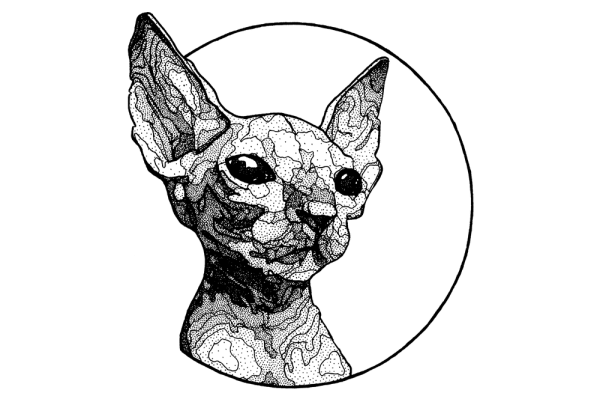 Кот тату эскиз