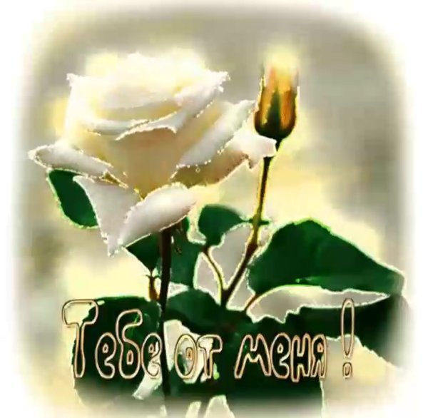 Открытки с добрым утром красивые