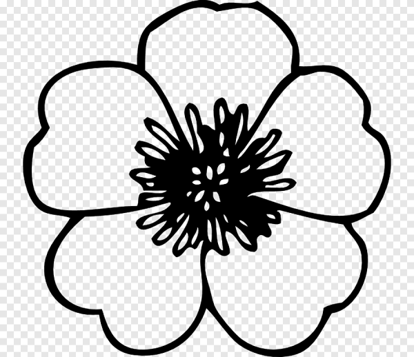 Контур цветов для раскрашивания