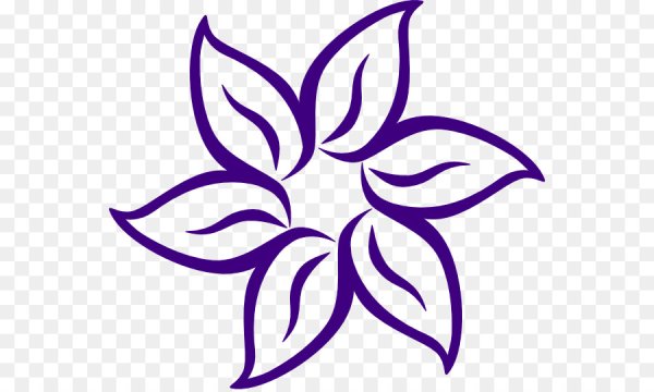 Незабудка цветок раскраска