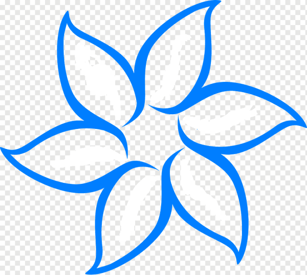 Части растения раскраска для детей